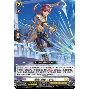 画像: 浄潔の騎士 エリセズ