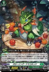 画像: グローイング・ドラコキッド