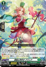 画像: 高鳴る芽吹き グラシア