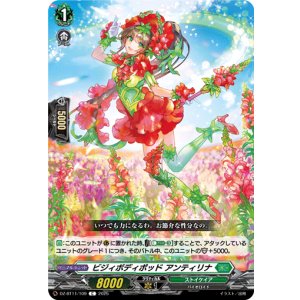 画像: ビジィボディポッド アンティリナ