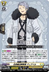 画像: 北部魔法隊隊長 ヴィアベル