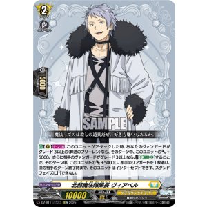 画像: 北部魔法隊隊長 ヴィアベル