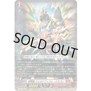 画像: 喧嘩屋 ワイルドフィスト・ドラゴン