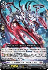 画像: クアドルポール・サーキュラー