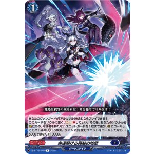 画像: 命運懸ける興起の防壁