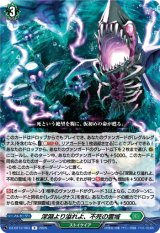 画像: 深淵より溢れよ、不死の霊域