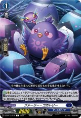 画像: ファーリー・コカトリー