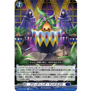 画像: ブリーディング・マンドラゴラ