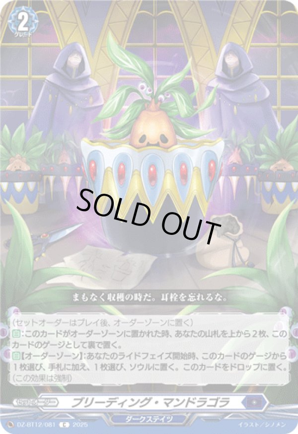 画像1: ブリーディング・マンドラゴラ