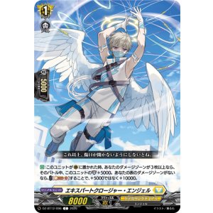 画像: エキスパートクロージャー・エンジェル