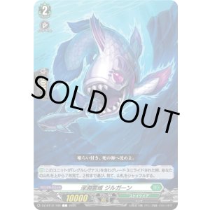 画像: 深淵霊域 ジルガーン