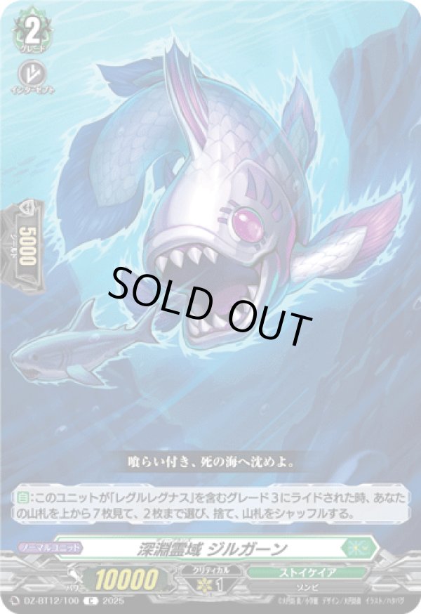 画像1: 深淵霊域 ジルガーン