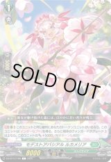 画像: モデストアバシアル ルカメリア