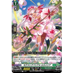 画像: モデストアバシアル ルカメリア