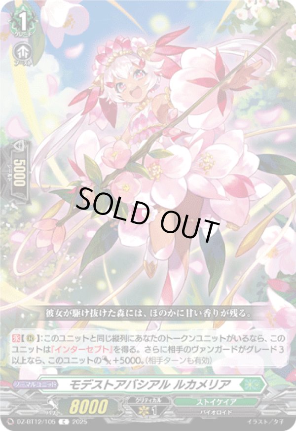 画像1: モデストアバシアル ルカメリア