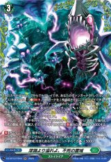 画像: 【FR】深淵より溢れよ、不死の霊域