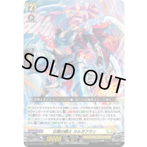 画像: 壮翼の騎士 カルガフラン