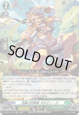 画像: 迅風の狩猟者 ガルティーズ