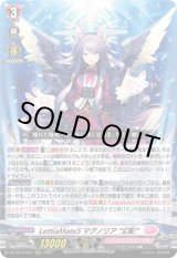 画像: LettiaMateS マグノリア “幻影”