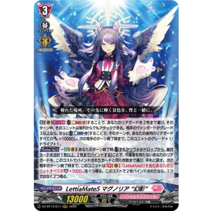 画像: LettiaMateS マグノリア “幻影”