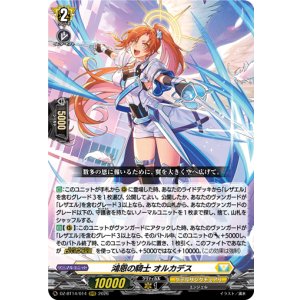 画像: 鴻恩の騎士 オルカデス