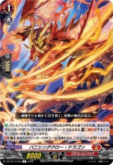 画像: バニシングクロー・ドラゴン