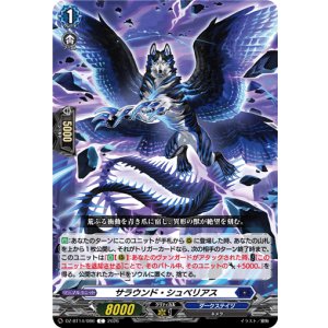 画像: サラウンド・シュベリアス