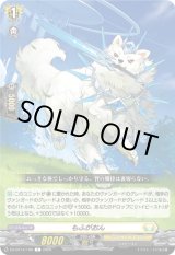 画像: もふがおん