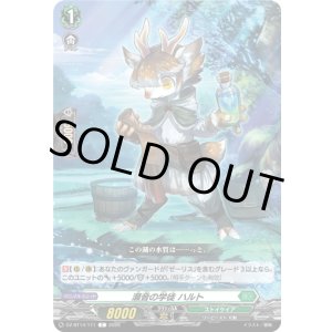 画像: 瀬音の学徒 ハルト