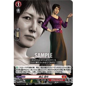 画像: 狭山 民代