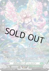 画像: 【SR】楽園を訪れし者 フィルデア