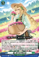 画像: 舞い咲うは万彩の花