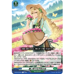 画像: 舞い咲うは万彩の花