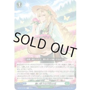 画像: 舞い咲うは万彩の花