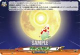 画像: バウンサーラビット