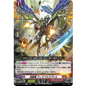 画像: 両闘竜 ヴィタブルラプトル