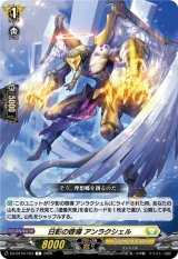 画像: 日影の啓導 アンラクシェル