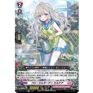 画像: フローラルガーデン カルテア
