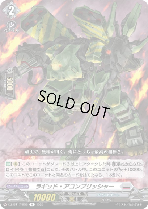 画像1: ラギッド・アコンプリッシャー