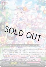 画像: 籠めた願いは何色に ヴァルシュブラン