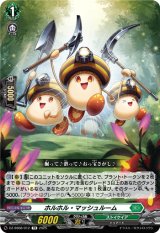 画像: ホルホル・マッシュルーム