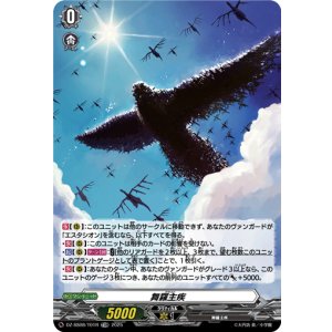 画像: 【TDR】舞羅主疾