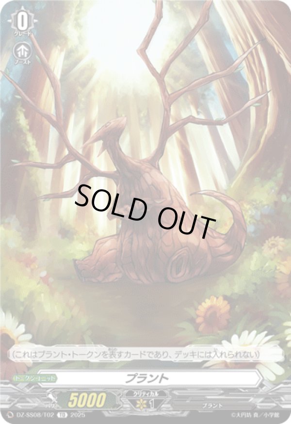 画像1: プラント