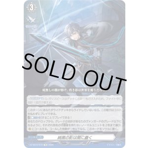 画像: 純黒の影は闇に蠢く