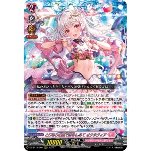 画像: とびきりの愛で抱きしめて オクタヴィア