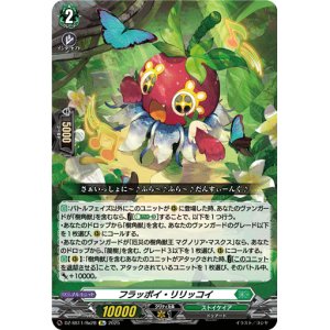 画像: 【Re】フラッポイ・リリッコイ