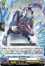 画像: せるがおん