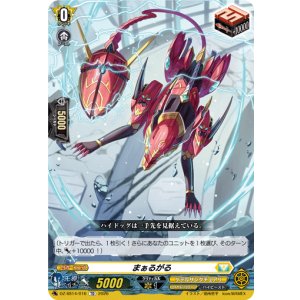 画像: まぁるがる