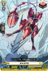 画像: 【TDR】まぁるがる