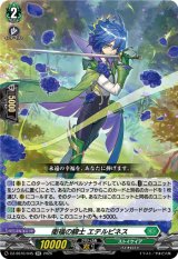 画像: 衛福の騎士 エテルピネス